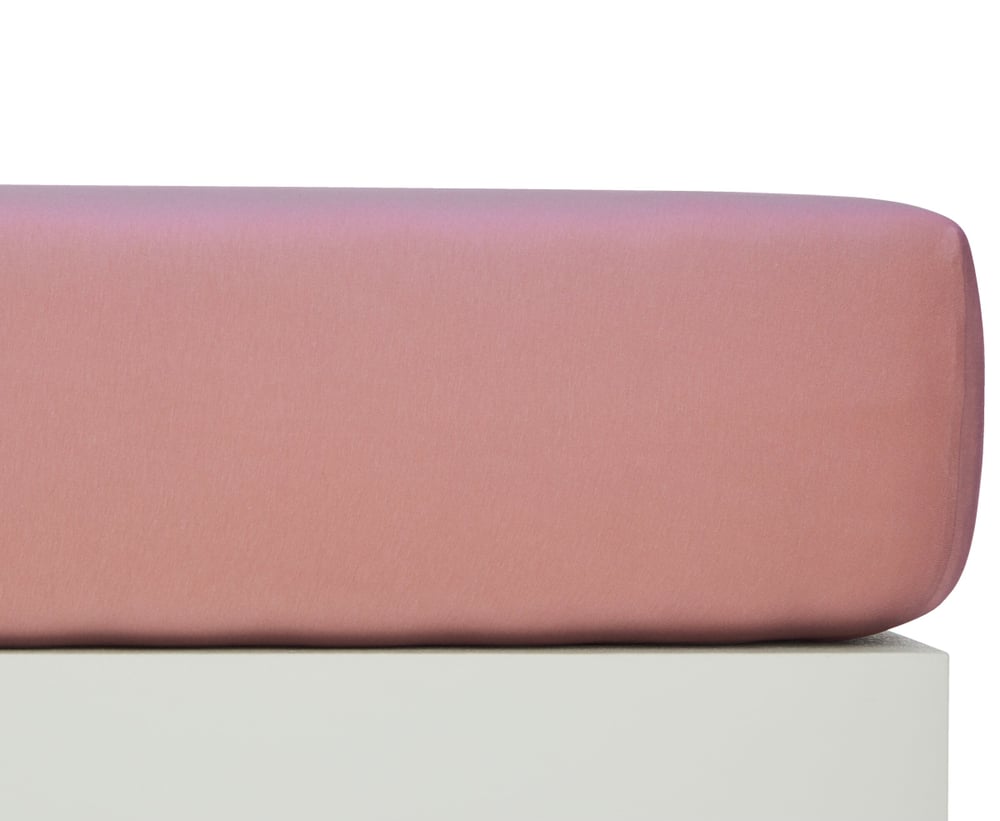 AYLA Jersey-Fixleintuch 451067430339 Farbe Ash Rose Grösse B: 90.0 cm x H: 220.0 cm Bild Nr. 1