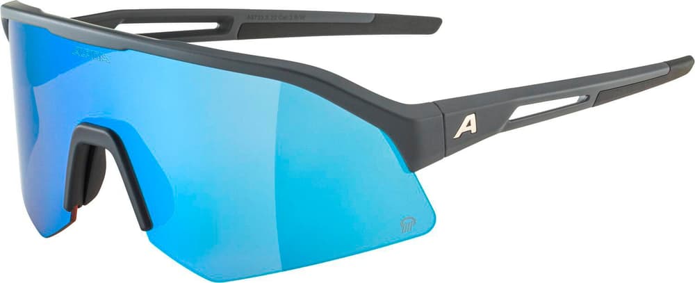 SONIC HR Q (POL) Sportbrille Alpina 468821000080 Grösse Einheitsgrösse Farbe grau Bild-Nr. 1