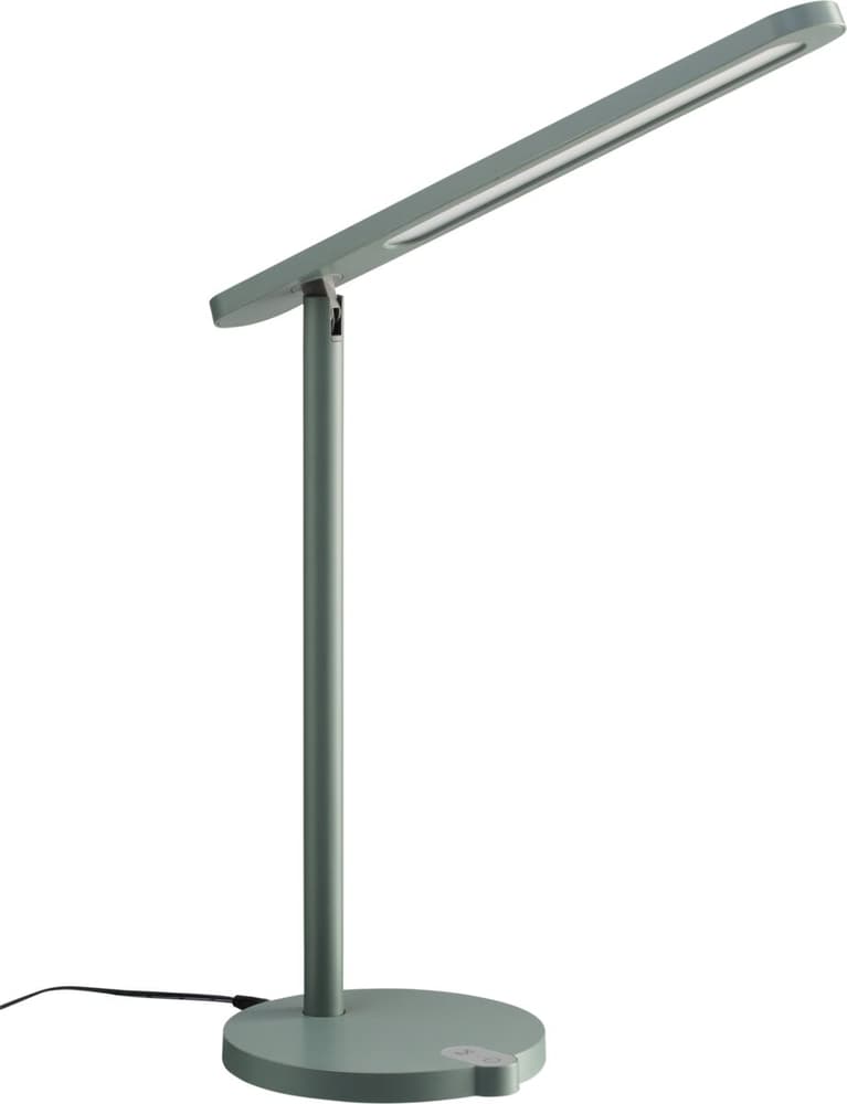 MIOLA Lampe de bureau 421267700000 Dimensions L: 38.0 cm x H: 50.0 cm x D: 16.0 cm Couleur Vert Photo no. 1