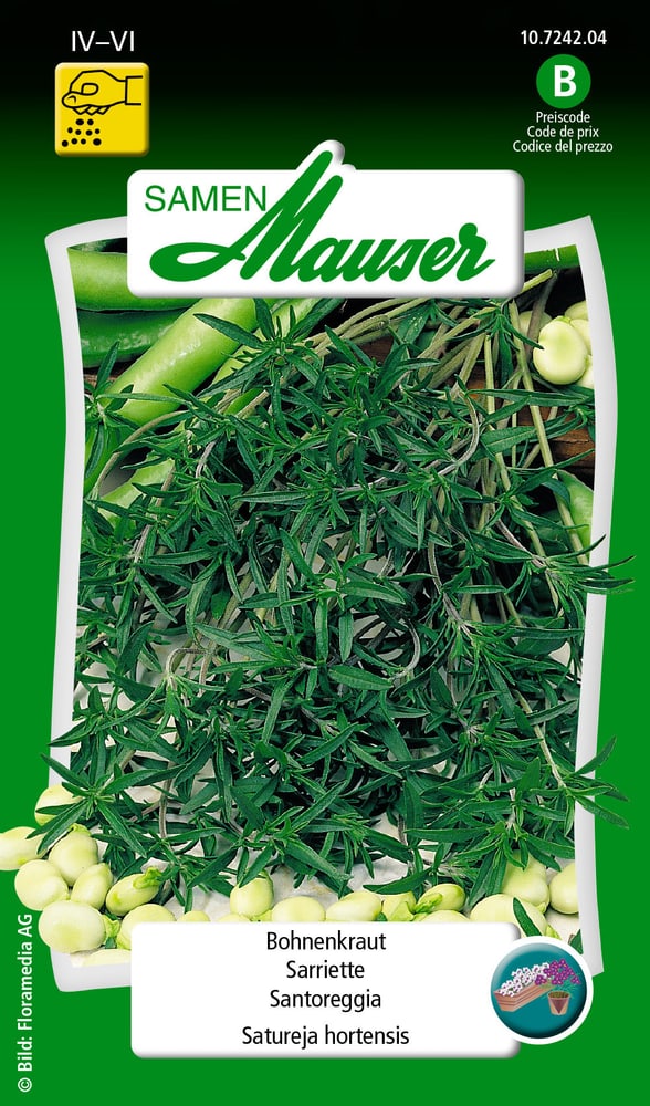 Sarriette Semences d’herbes arom. Samen Mauser 650109001000 Contenu 2.5 g (env. 3 - 4 m²) Photo no. 1