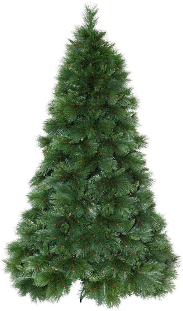 Albero di Natale Cembra senza luce, IP44, 240cm Albero di Natale Star Trading 785302444749 N. figura 1