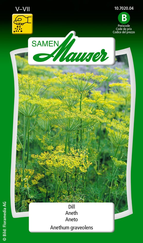 Aneth Semences d’herbes arom. Samen Mauser 650109701000 Contenu 2.5 g (env. 5 m²) Photo no. 1