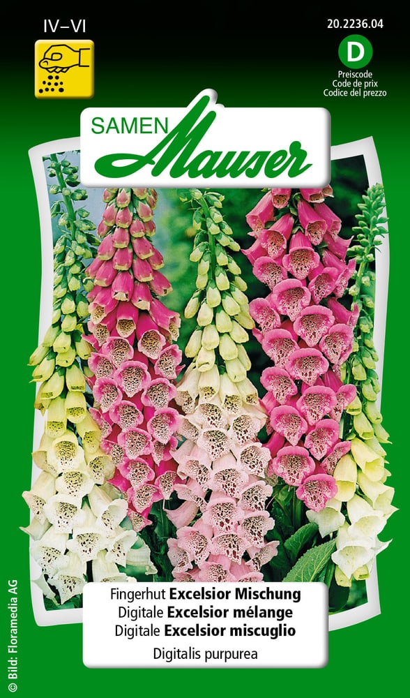 Fingerhut Excelsior Mischung Blumensamen Samen Mauser 650103201000 Inhalt 0.5 g (ca. 100 Pflanzen oder 5 m²) Bild Nr. 1