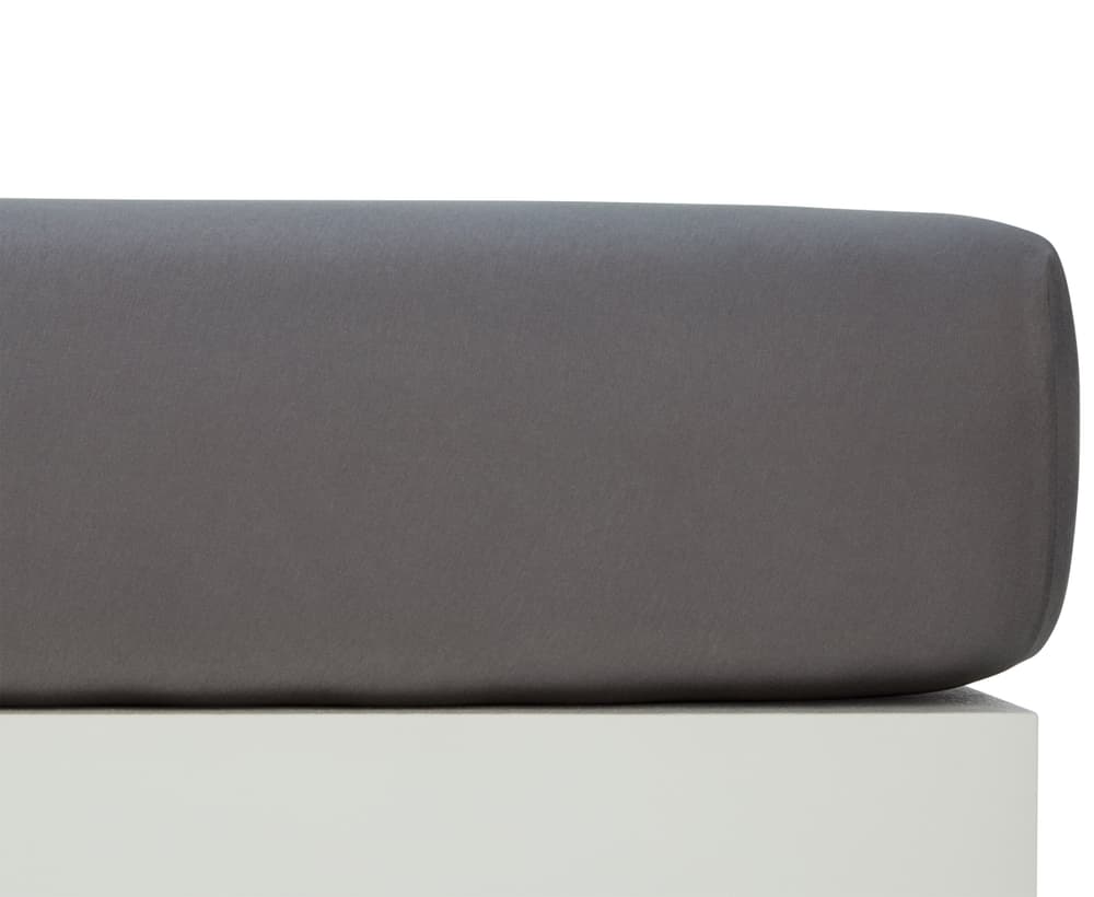 AYLA Jersey-Fixleintuch AYLA Jersey-Fixleintuch 451067430583 Farbe Castlerock Grösse B: 180.0 cm x H: 220.0 cm Bild Nr. 1