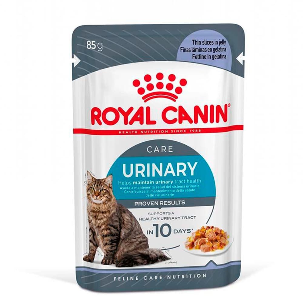 Urinary Care Jelly, 12x85 g Cibo umido Royal Canin 658729600000 N. figura 1