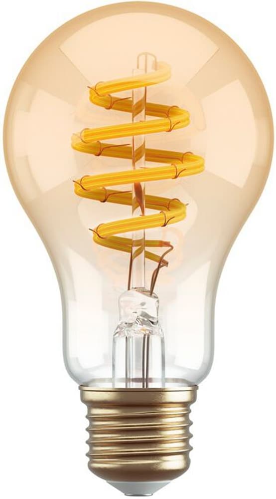 Filament Bulb CCT E27 A60 - amber Ampoule Hombli 785300163179 Photo no. 1