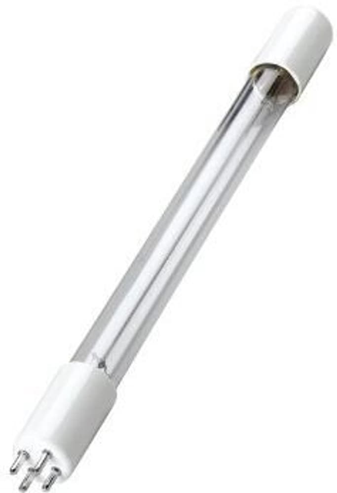UV Bulb 6" High Output für UV80H Modell Pflanzenlampe CleanLight 669700105040 Bild Nr. 1