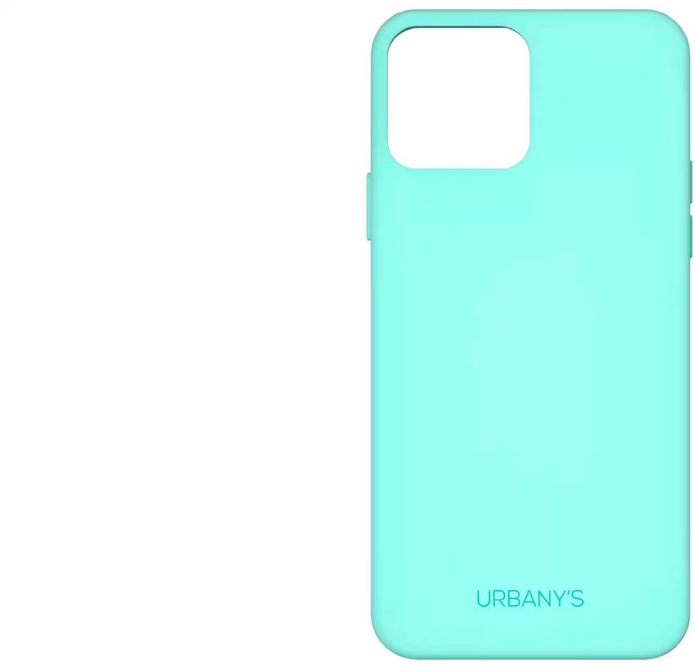 Minty Fresh Silicone iPhone 13 Pro Cover smartphone Urbany's 785302402959 N. figura 1
