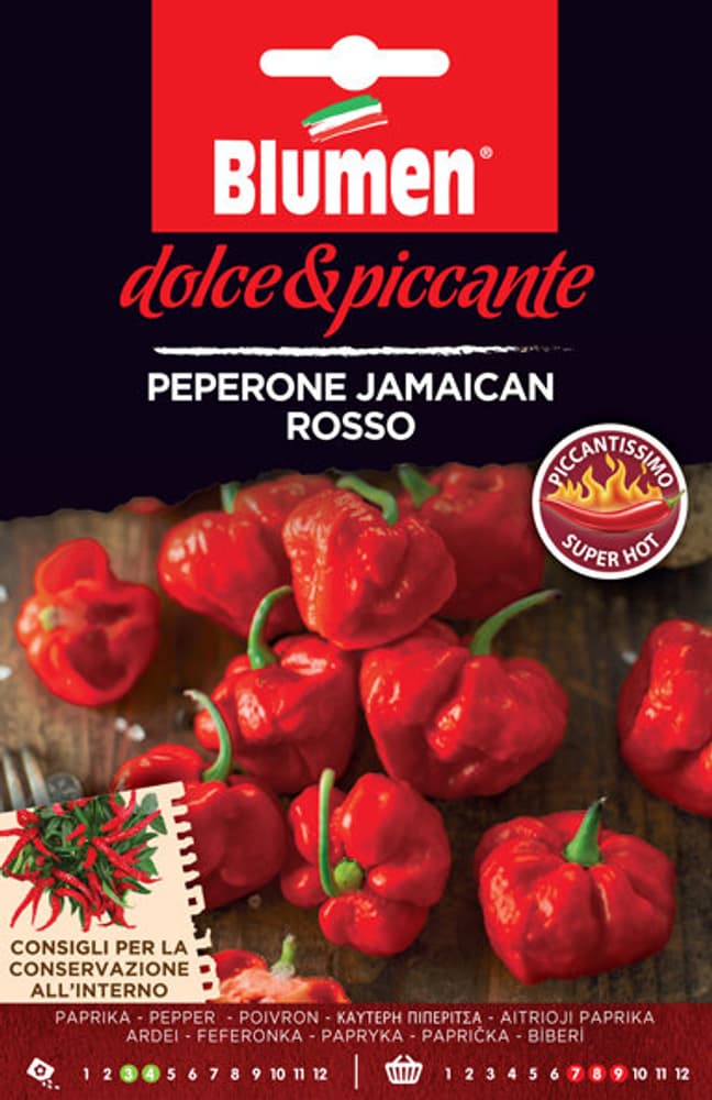 Poivron Jamaican rosso Semences de gourmet Blumen 650163300000 Photo no. 1