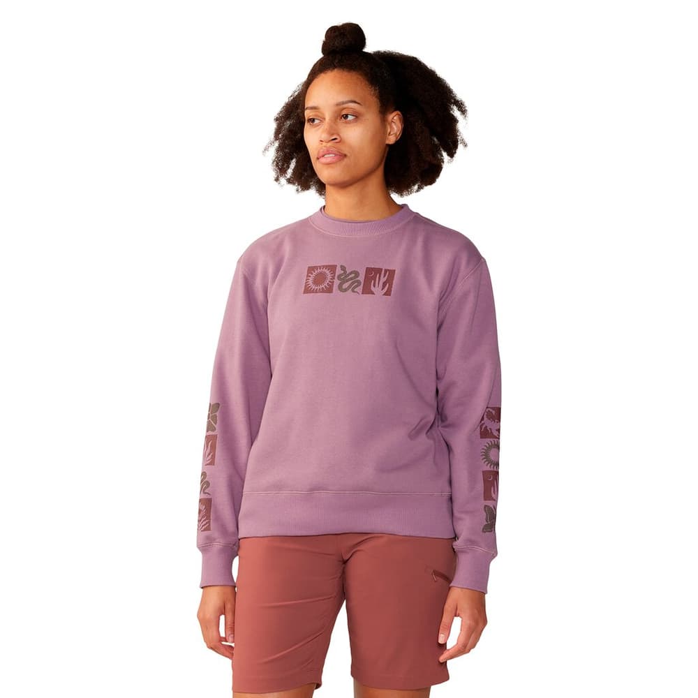 W Desert Check™ Pullover Crew Pull-over MOUNTAIN HARDWEAR 474122800391 Taille S Couleur lilas Photo no. 1