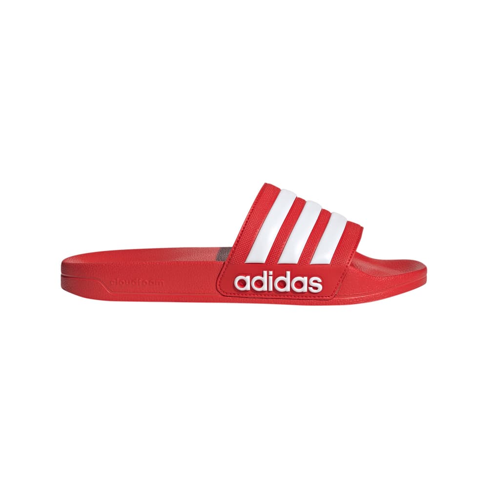 Adilette Shower Chaussons Adidas 493475946030 Taille 46 Couleur rouge Photo no. 1