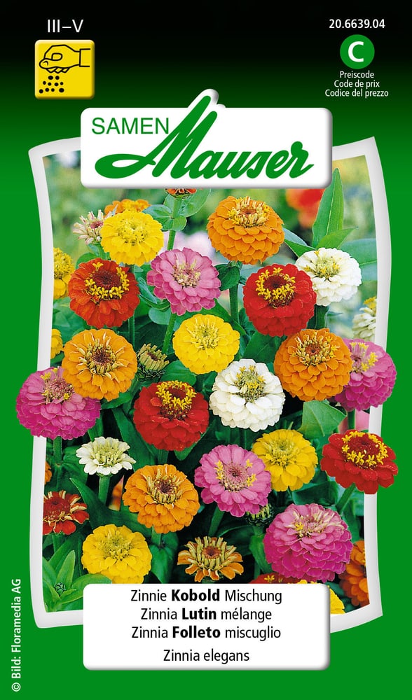 Zinnia Folletto miscuglio Sementi di fiori Samen Mauser 650108406000 Contenuto 1 g (ca. 50 piante o 3 - 4 m²) N. figura 1