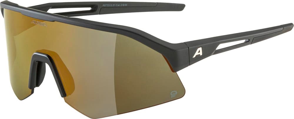 SONIC HR Q (POL) Sportbrille Alpina 468821000020 Grösse Einheitsgrösse Farbe schwarz Bild-Nr. 1