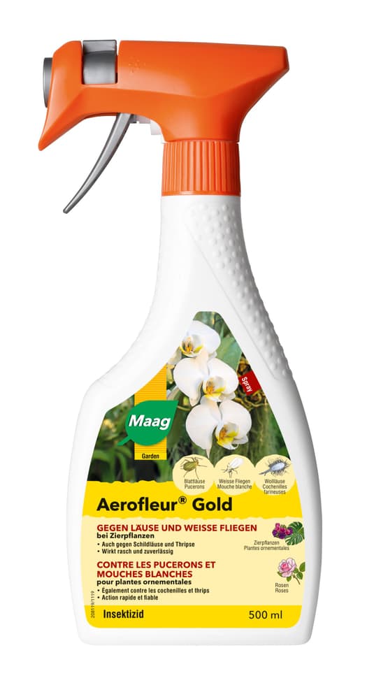 Maag Aerofleur Gold Spray, 500 ml Insektizid - kaufen bei Do it + Garden