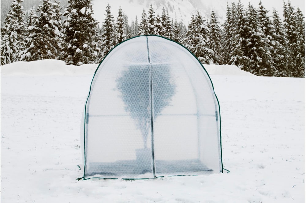 Housse d'hivernage Yurt avec film isolant L, 180 x 180 x 200 cm Protection des cultures Colibri 785300194616 Photo no. 1