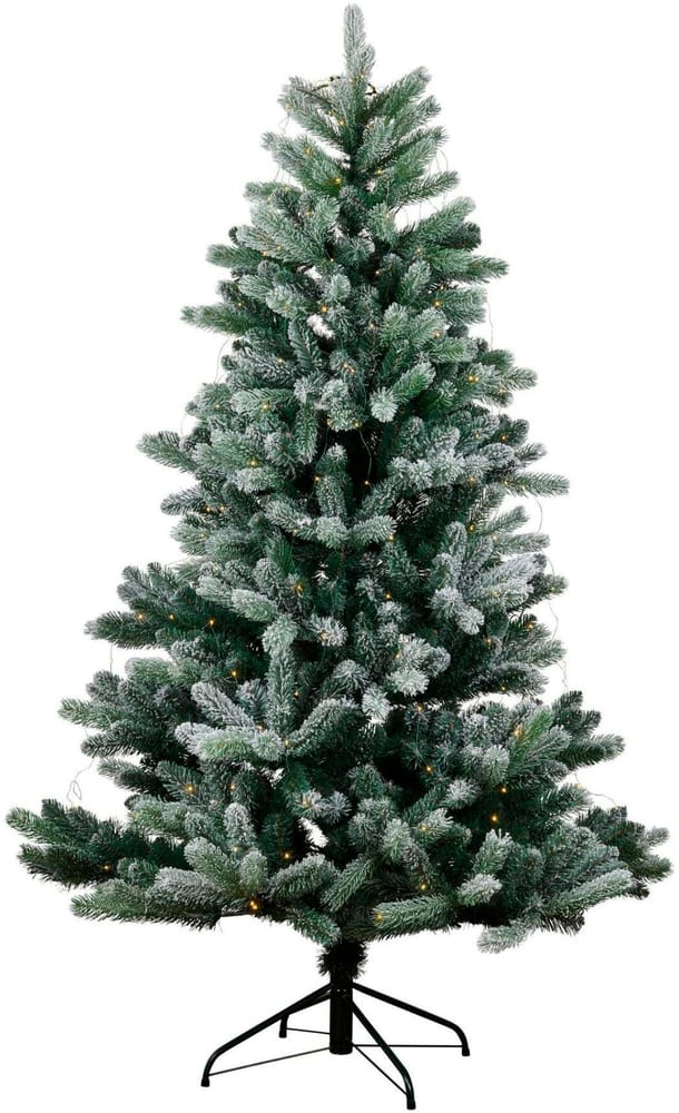 Weihnachtsbaum Anton, 2.1 m, 273 LEDs, Grün Kunstbaum Sirius 785302412432 Bild Nr. 1