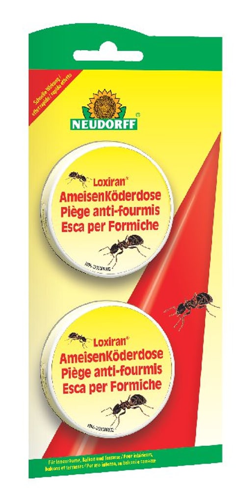 Loxiran AmeisenKöderdose Ameisenbekämpfung Neudorff 658512000000 Bild Nr. 1