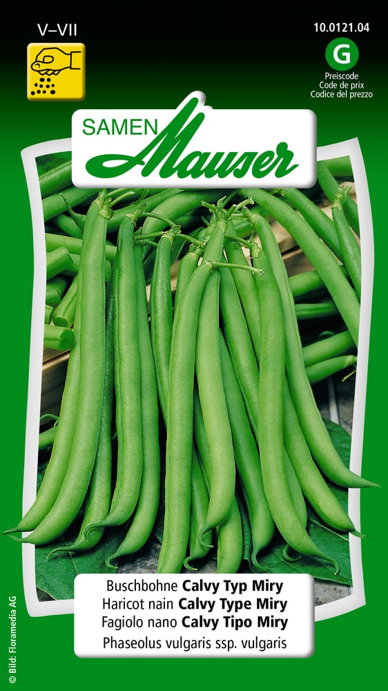 Haricot nain Calvy Type Miry Semences de legumes Samen Mauser 650109303000 Contenu 80 g (env. 8 m²) Photo no. 1