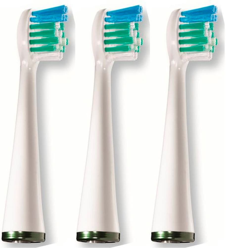 Petite brosse 3 pièces Tête de brosse à dents Waterpik 785302422134 Photo no. 1