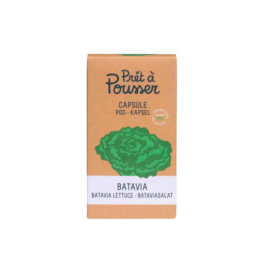 Lattuga Batavia pronta all'uso Capsule di erbe Prêt à Pousser 656749200000 N. figura 1