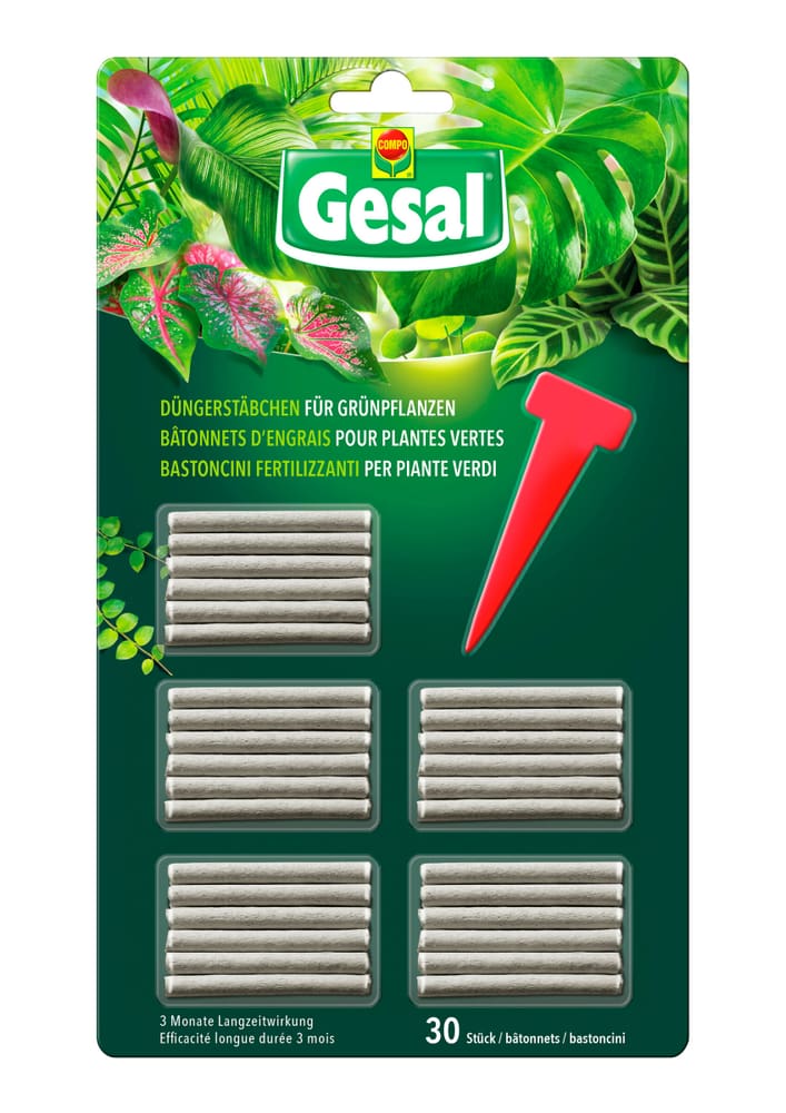 Bastoncini fertilizzanti per piante verdi, 30 pezzi Bastoncini fertilizzanti Compo Gesal 658249700000 N. figura 1