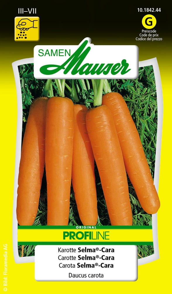 Carota Selma®-Cara Sementi di verdura Samen Mauser 650110908000 Contenuto 2.5 g (ca. 150 - 300 piante o 3 - 4 m²) N. figura 1