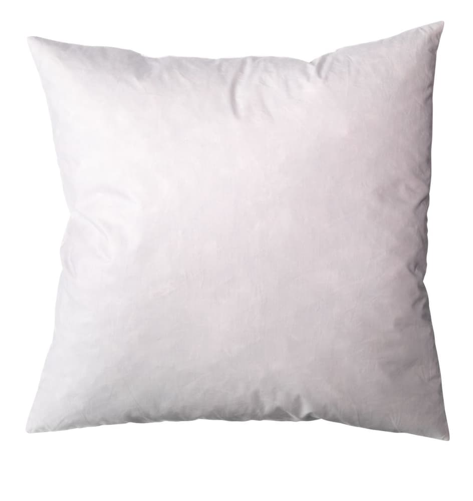 MONA Imbottitura cuscini 450628840110 Colore Bianco Dimensioni L: 40.0 cm x A: 40.0 cm N. figura 1