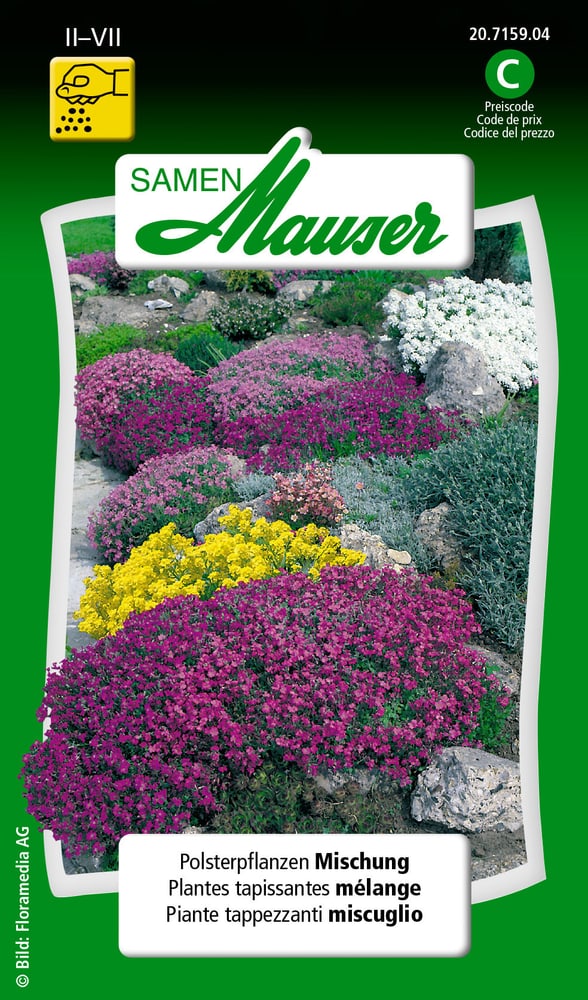 Polsterpflanzen Mischung Blumensamen Samen Mauser 650107401000 Inhalt 0.5 g (ca. 70 Pflanzen oder 3 - 4 m² ) Bild Nr. 1