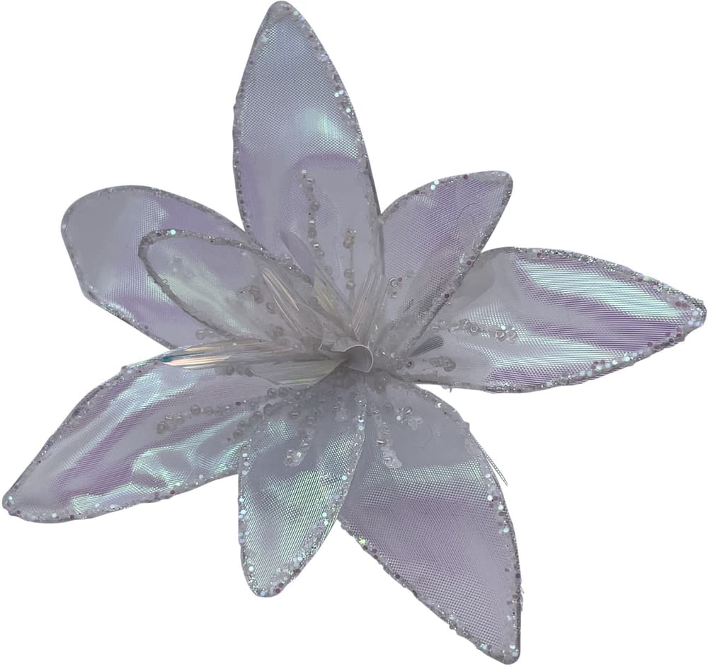 Blume auf Metallclip Deko Blume Do it + Garden 655157500000 Farbe Perl Grösse ø: 15.0 cm Bild Nr. 1