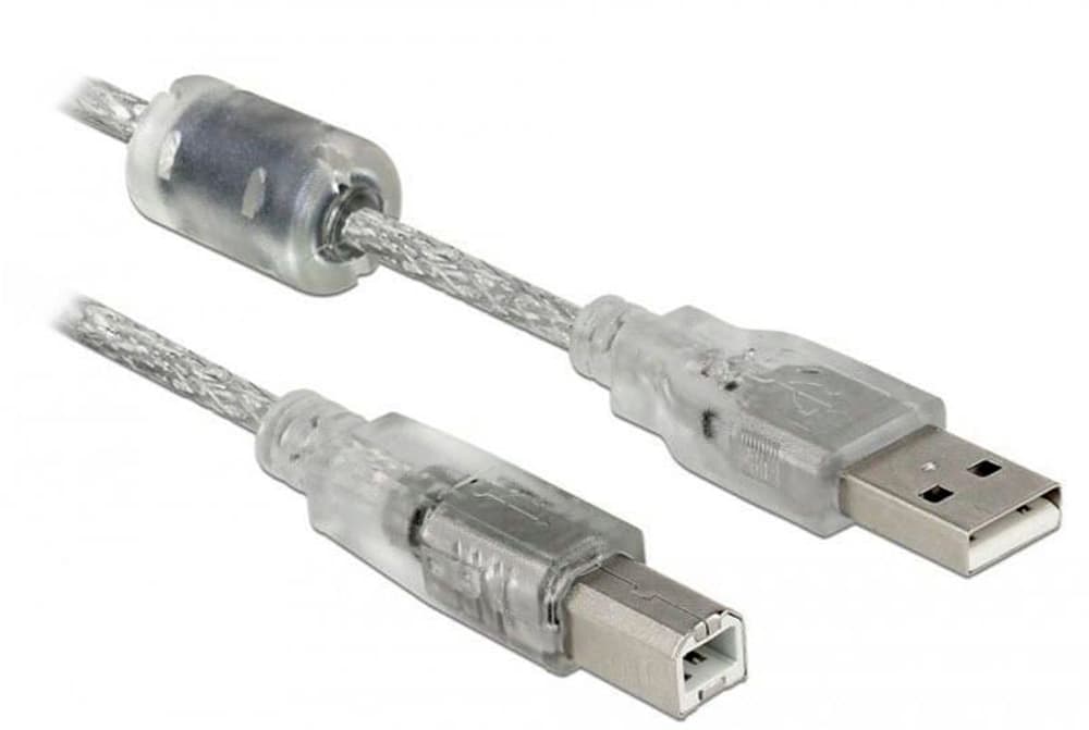 Câble USB 2.0 USB A - USB B 0,5 m Câble USB DeLock 785300195265 Photo no. 1