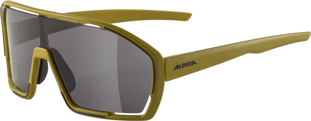 Bonfire Sportbrille Alpina 465096200060 Grösse Einheitsgrösse Farbe Grün Bild-Nr. 1