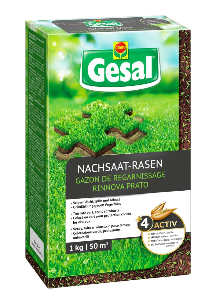 Nachsaat-Rasen, 1 kg Rasensamen Compo Gesal 659211700000 Bild Nr. 1