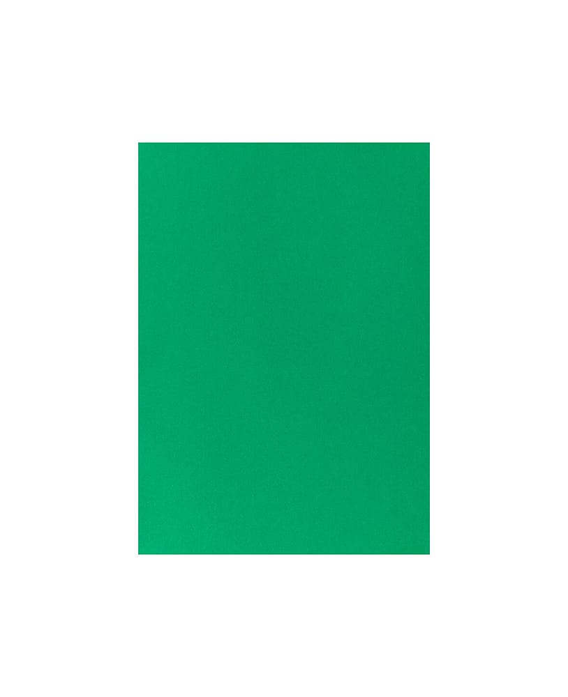 Carta Per Foto A4, Verde Scuro Cartone fotografico 666540900070 Colore Verde scuro Dimensioni L: 21.0 cm x P: 0.05 cm x A: 29.7 cm N. figura 1