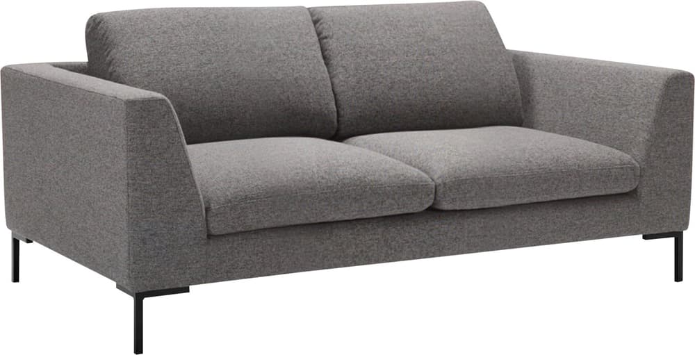 NEWTON 2er-Sofa NEWTON 2er-Sofa 405898320380 Grösse B: 180.0 cm x T: 102.0 cm x H: 80.0 cm Farbe Grau Bild Nr. 1