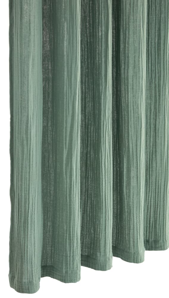 SOFIE Tenda preconfezionata coprente 404798120860 Colore Verde Dimensioni L: 150.0 cm x A: 260.0 cm N. figura 1