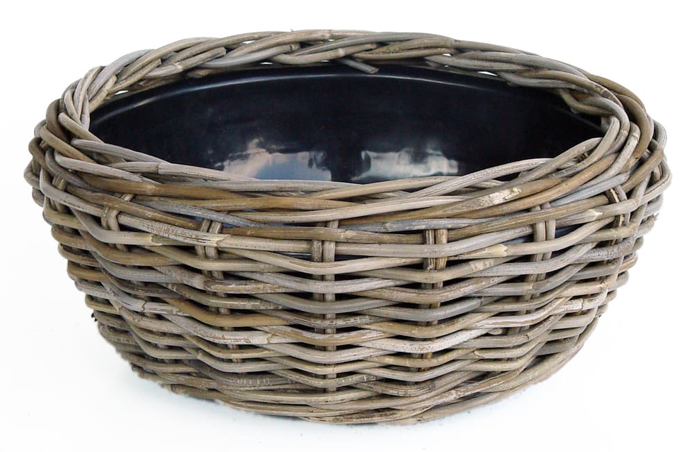 Dry Pot Dry Pot, en rotin Terrine à fleurs acheter chez Do it + Garden