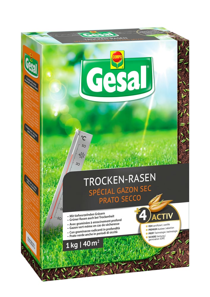 Trocken-Rasen, 1 kg Rasensamen Compo Gesal 659294100000 Bild Nr. 1