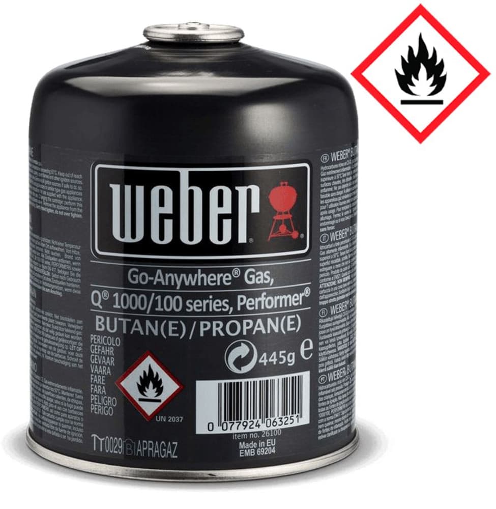 Cartouche gaz Q100/1000 + soupape à vis Conduites de gaz pour barbecue Weber 9000018552 Photo n°. 1