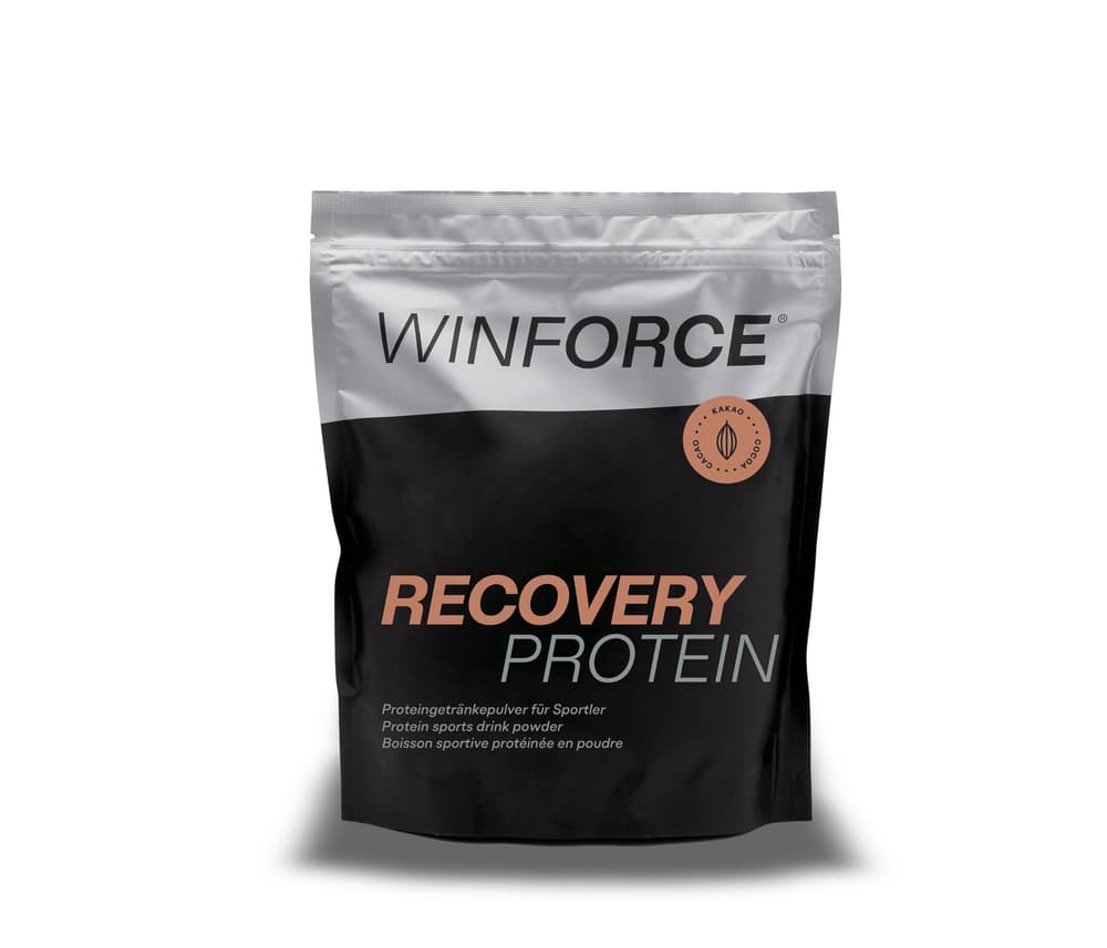 Recovery Protein Proteinpulver Winforce 467904705200 Farbe 00 Geschmack Kakao Bild-Nr. 1