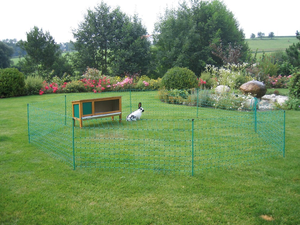 Recinzione recinzione per conigliera 12 m verde 65 cm con picchetti, conduttivo Recinto per animali 647268300000 N. figura 1