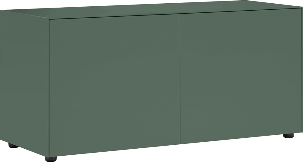 LUX Cassettone 400840500060 Dimensioni L: 120.0 cm x P: 46.0 cm x A: 56.0 cm Colore Verde N. figura 1