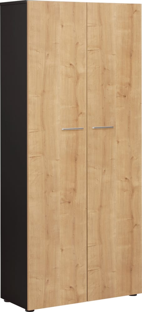 OFFICE X Schrank bequem online bestellen - micasa.ch