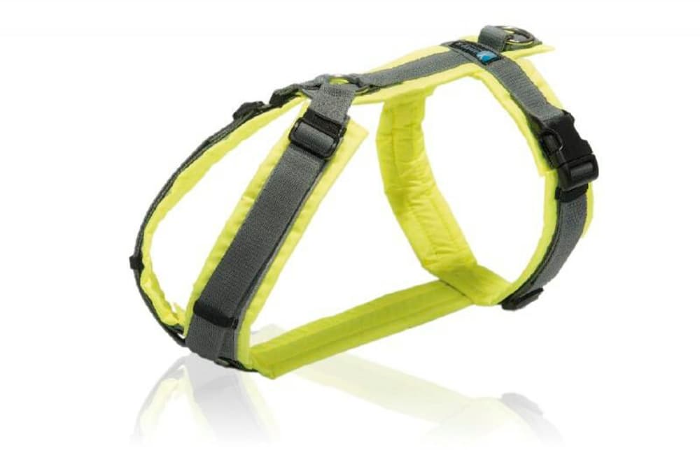 Anny-X Harness Protect giallo-grigio S collo 26 - 40 cm / petto 52 - 64 cm Pettorina per cani Anny-X 669700101839 N. figura 1