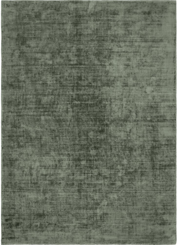 LAURENCE Tapis 412043512060 Couleur vert Dimensions L: 120.0 cm x P: 170.0 cm Photo no. 1