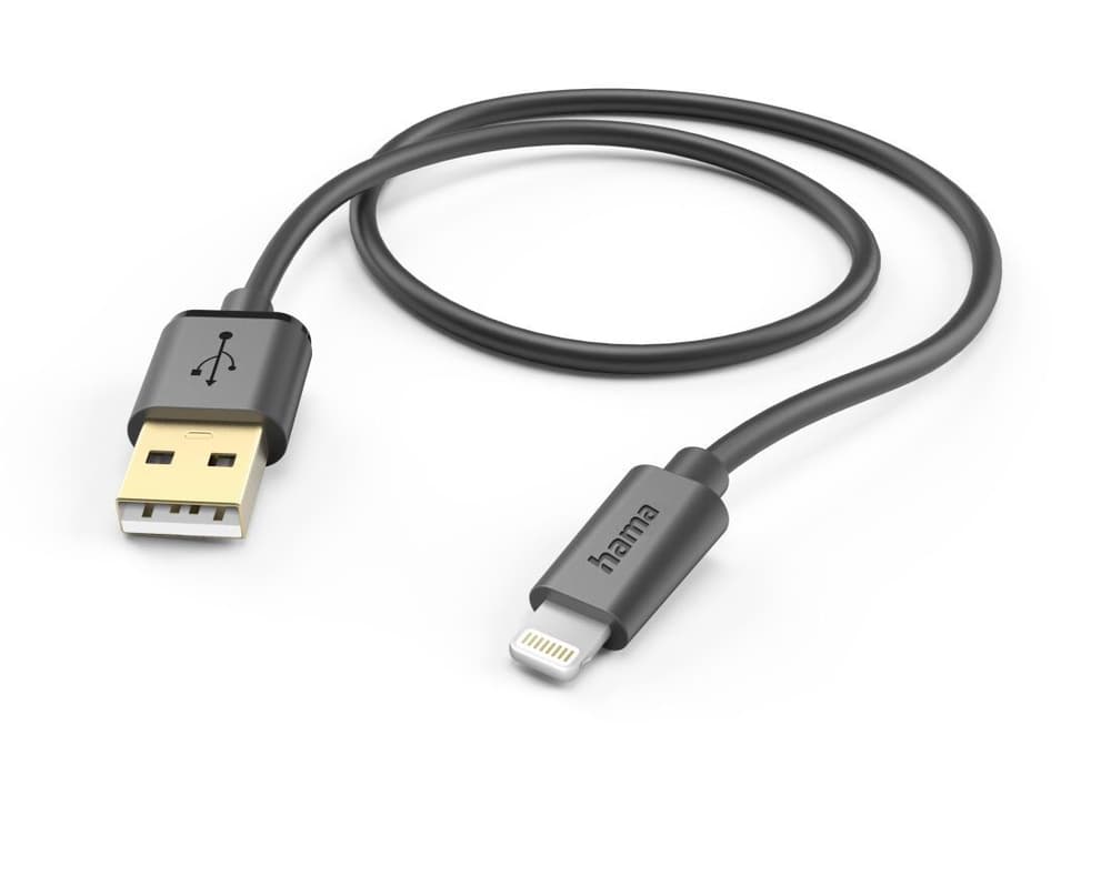 Câble de charge, USB-A - Lightning, 1,5 m, noir Câble de recharge Hama 785300173809 Photo no. 1