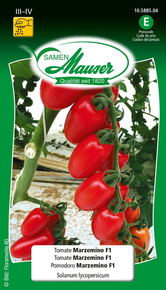Tomate Marzemino F1 Semences de legumes Samen Mauser 650270600000 Photo no. 1