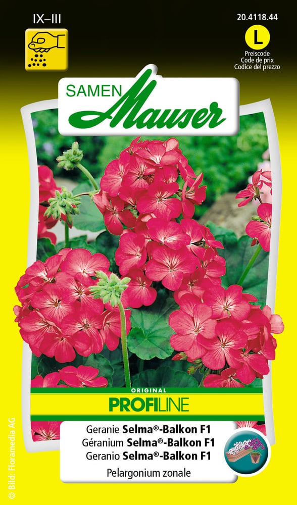 Geranie Selma®-Balkon F1 Blumensamen Samen Mauser 650106101000 Inhalt 0.1 g (ca. 15 Pflanzen) Bild Nr. 1