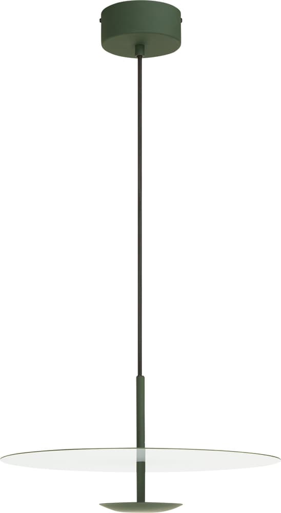 DOMINIK Lampada a sospensione 420835600060 Dimensioni A: 19.5 cm x D: 40.0 cm Colore Verde N. figura 1