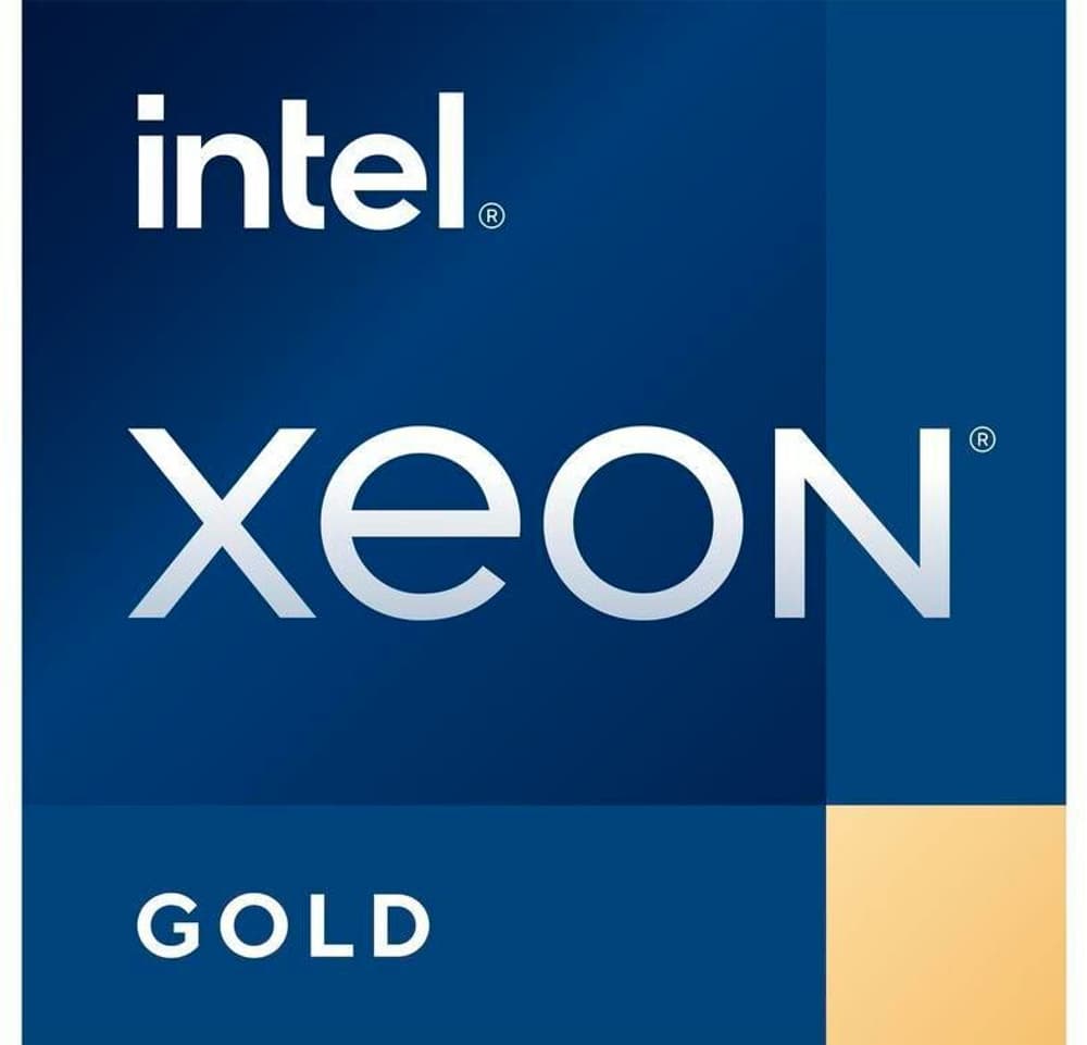 DL360/DL380 G10+ Xeon Gold 5315Y 3.2 GHz Processeur HPE 785302409347 Photo no. 1