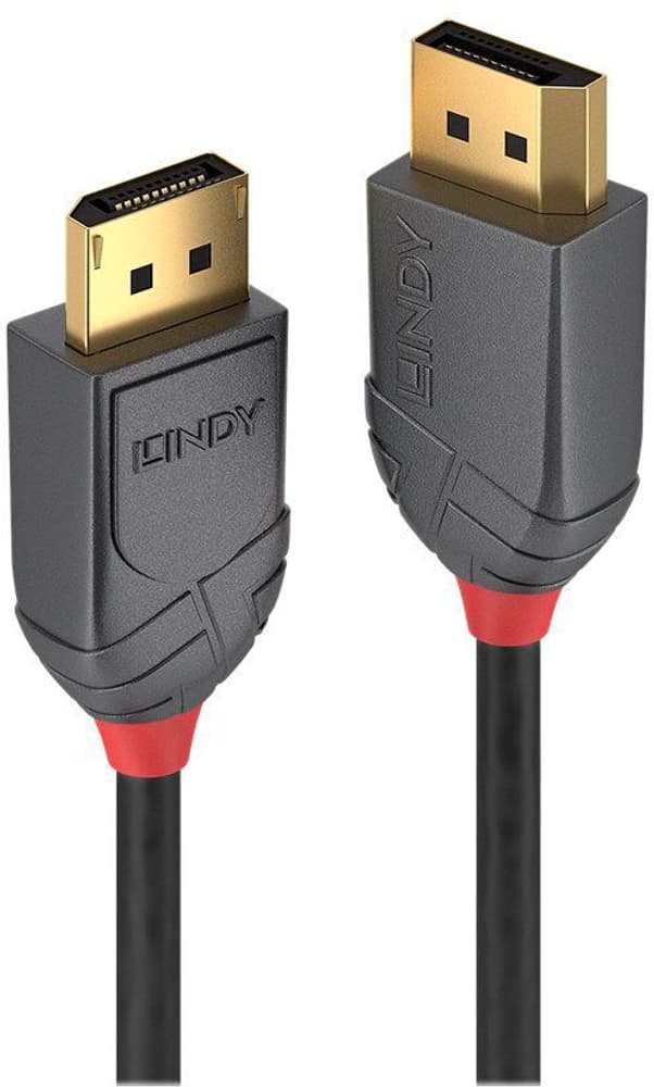 DisplayPort 1.2 Kabel, Anthra Line 3m Videokabel LINDY 785302422826 Bild Nr. 1